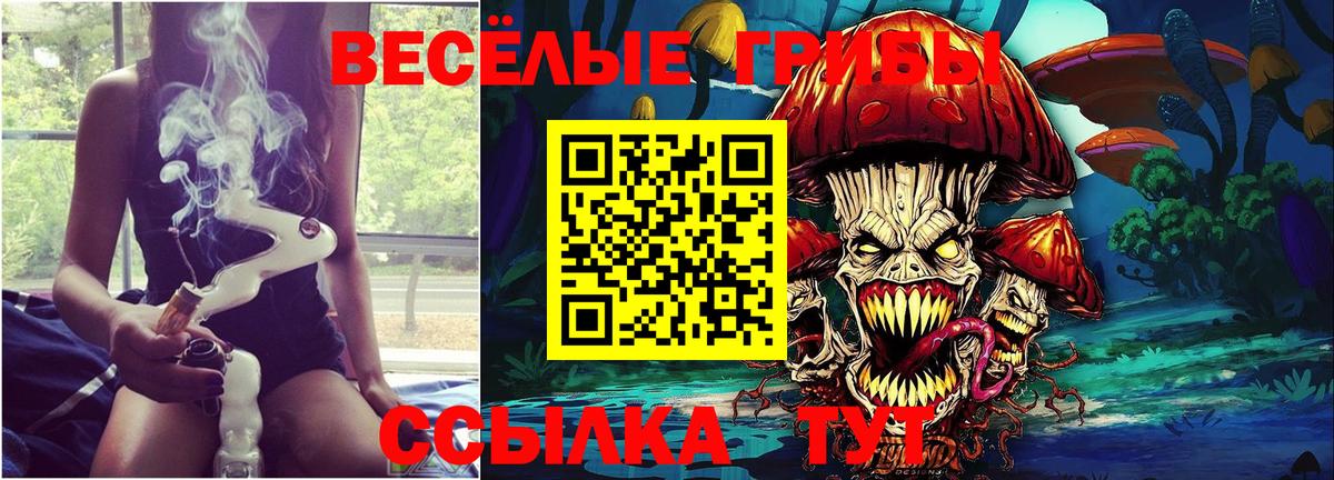 Псилоцибиновые грибы GOLDEN TEACHER Лангепас